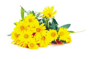 江苏：今年起试点实施高职本科分段培养项目：ky开元集团官网入口