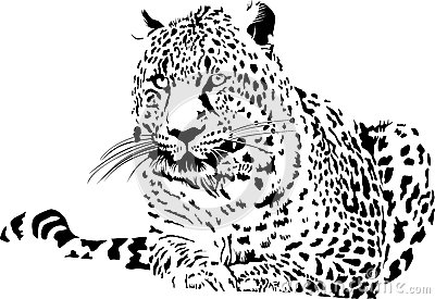 ky开元_辽宁省大连市教育局公布中等及职业中专招生计划