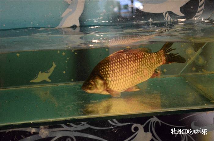 【ky开元集团官网入口】
如何做好旅店的前厅治理(图4) ky开元