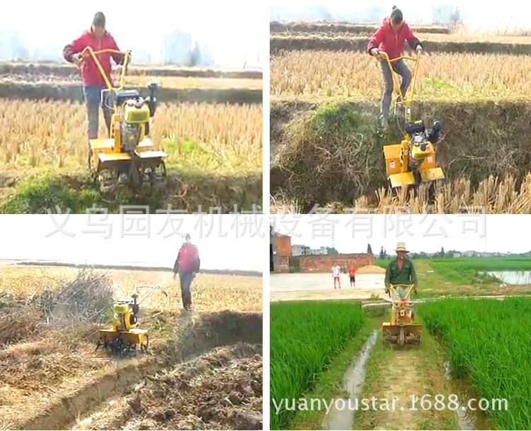 ‘KY开元集团官网’网红美食城火热招商,邀您一起打造合肥美食新地标(图2) ky开元