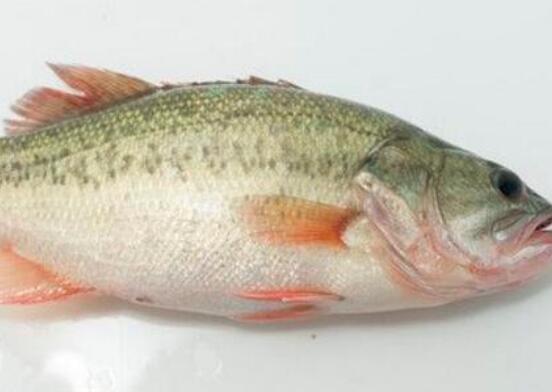 ‘KY开元集团官网’网红美食城火热招商，邀您一起打造合肥美食新地标