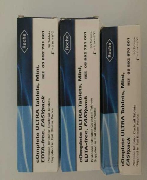 KY开元集团官网-重庆市职业教育学会组织学习《国家职业教育改革实施方案》座谈会顺