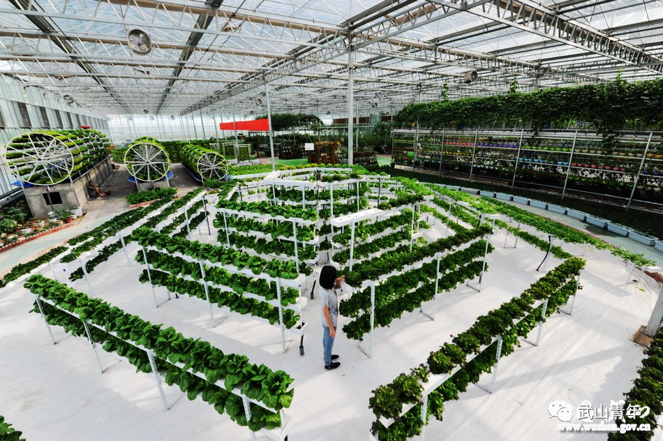 “KY开元集团官网”天府通航学院成功举行“春蕾绽放女大学生创业微计划”进校园活动