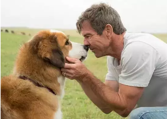 【ky开元】南平全市职业教育工作推进会召开(图3) ky开元