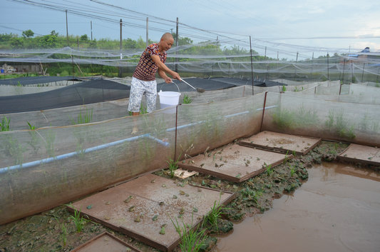 ky开元-闭幕片《点球成金》亮相东京 布拉德·皮特缺席