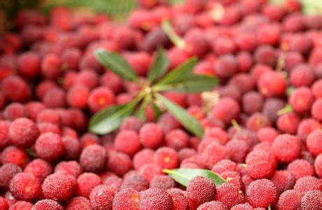 ky开元集团官网入口