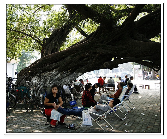 ky开元集团官网入口