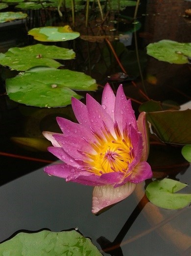 【ky开元】欠款五六十万后饭店老板跑路了