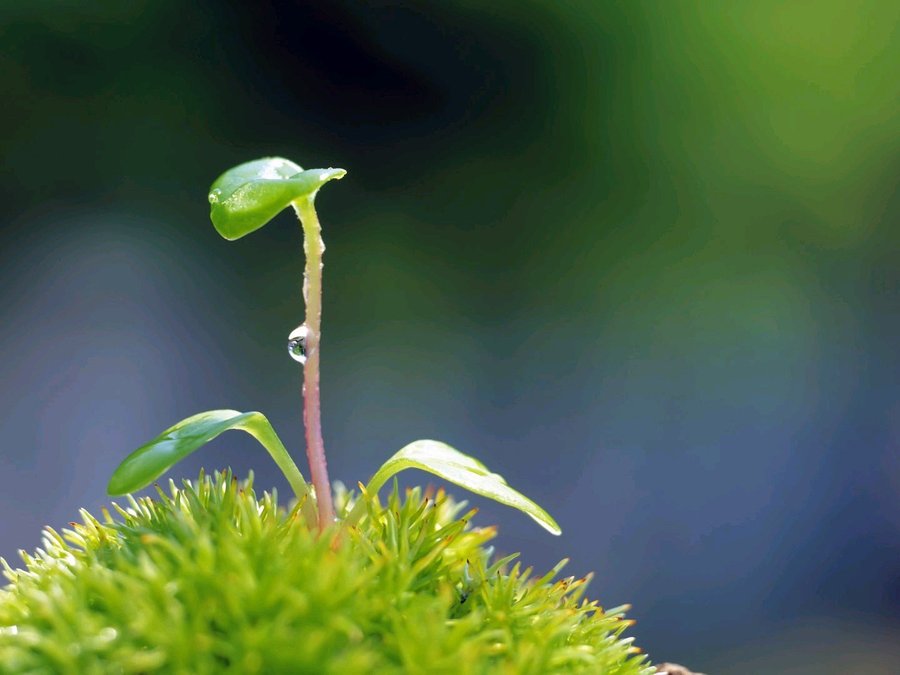 【KY开元集团官网】天津职业教育