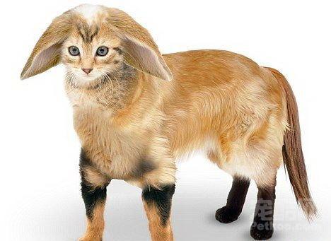 ky开元集团官网入口