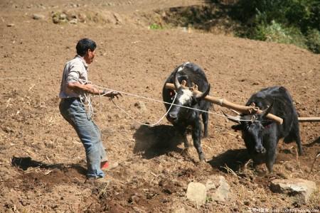 KY开元集团官网